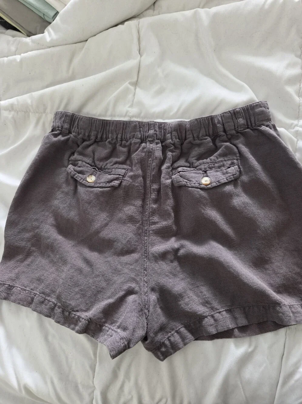 C&CCalifornia Linen Blend Shorts